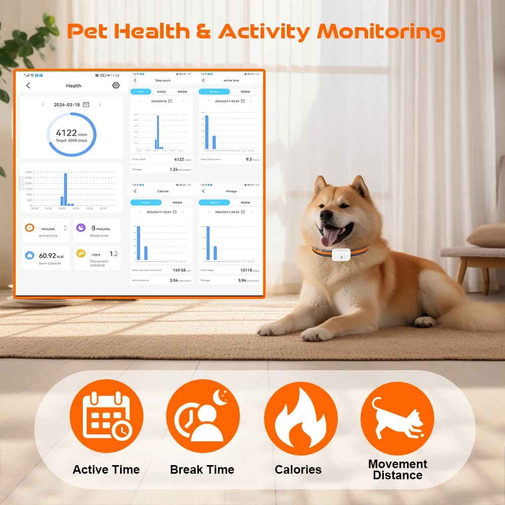 4G GPS Dog Tracker Collar – No Monthly Fees, 5-Year SIM Included