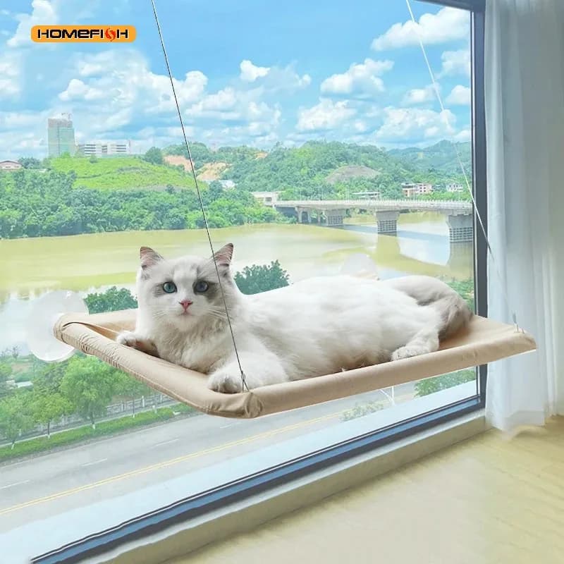 Sunbeam Shelf - Wall-Mounted Window Perch - view 3